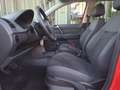 Volkswagen Polo 3295556033*TAGLIANDI VW!!*5p*1.4*Sportline*80cv Rouge - thumbnail 12