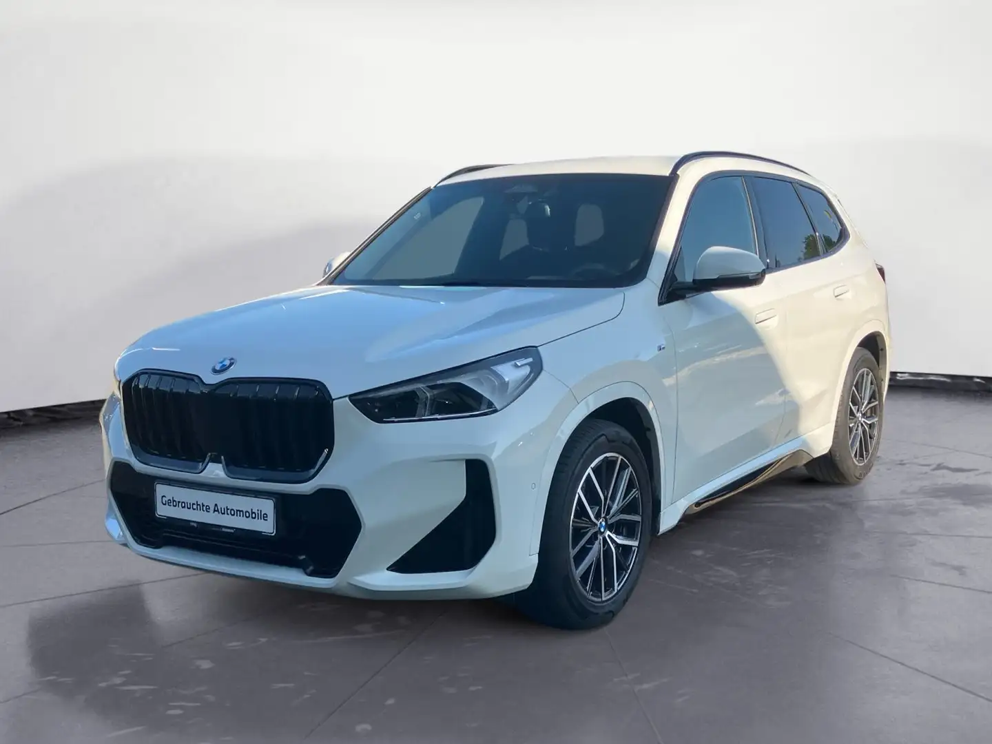 BMW X1 sDrive18i Steptronic M Sportpaket Head-Up AHK Weiß - 2