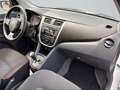 Suzuki Celerio 1.0 Club #AUTOMATIK #KLIMA Biały - thumbnail 14