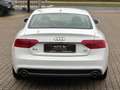 Audi A5 Coupe 3.0 TDI quattro S-Line Leder Navi Xenon Weiß - thumbnail 11