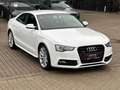 Audi A5 Coupe 3.0 TDI quattro S-Line Leder Navi Xenon Weiß - thumbnail 4