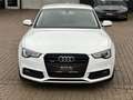 Audi A5 Coupe 3.0 TDI quattro S-Line Leder Navi Xenon Weiß - thumbnail 3