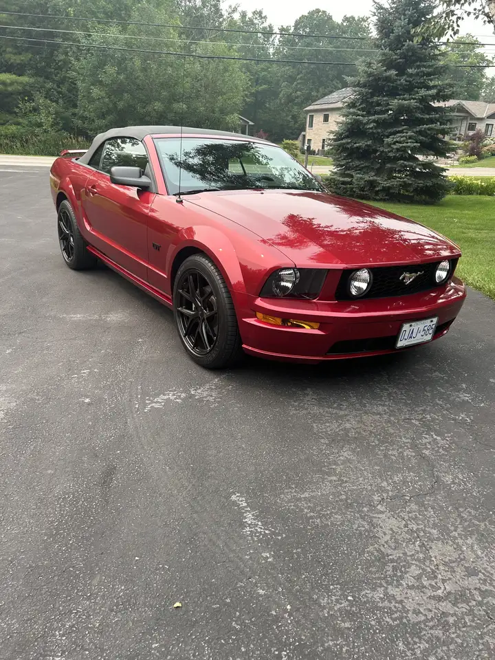  Mustang