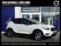 Volvo XC40 T3 Geartronic R-Design Wit - thumbnail 1