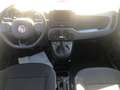 Fiat Panda Panda III 2021 Cross 1.0 firefly hybrid Cross s Rosso - thumbnail 9