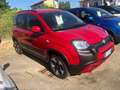 Fiat Panda Panda III 2021 Cross 1.0 firefly hybrid Cross s Rosso - thumbnail 3