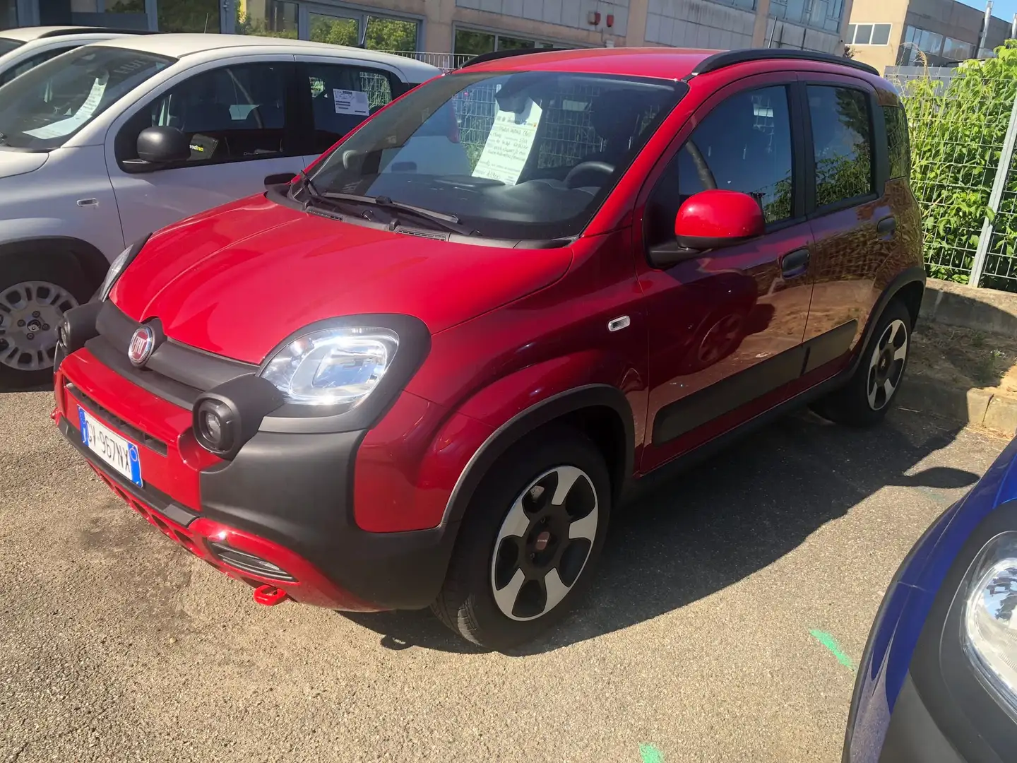 Fiat Panda Panda III 2021 Cross 1.0 firefly hybrid Cross s Rosso - 1