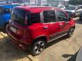 Fiat Panda Panda III 2021 Cross 1.0 firefly hybrid Cross s Rosso - thumbnail 5