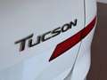 Hyundai TUCSON 1.6 CRDi 48V XLine UNICOPROP. IVA ESPOSTA Weiß - thumbnail 24