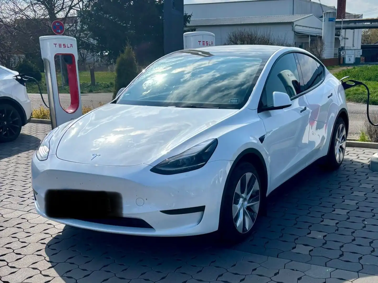 Tesla Model Y Model Y 2WD Weiß - 1