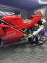 Ducati 888 aus 2 Hand Inspektion neu - thumbnail 4