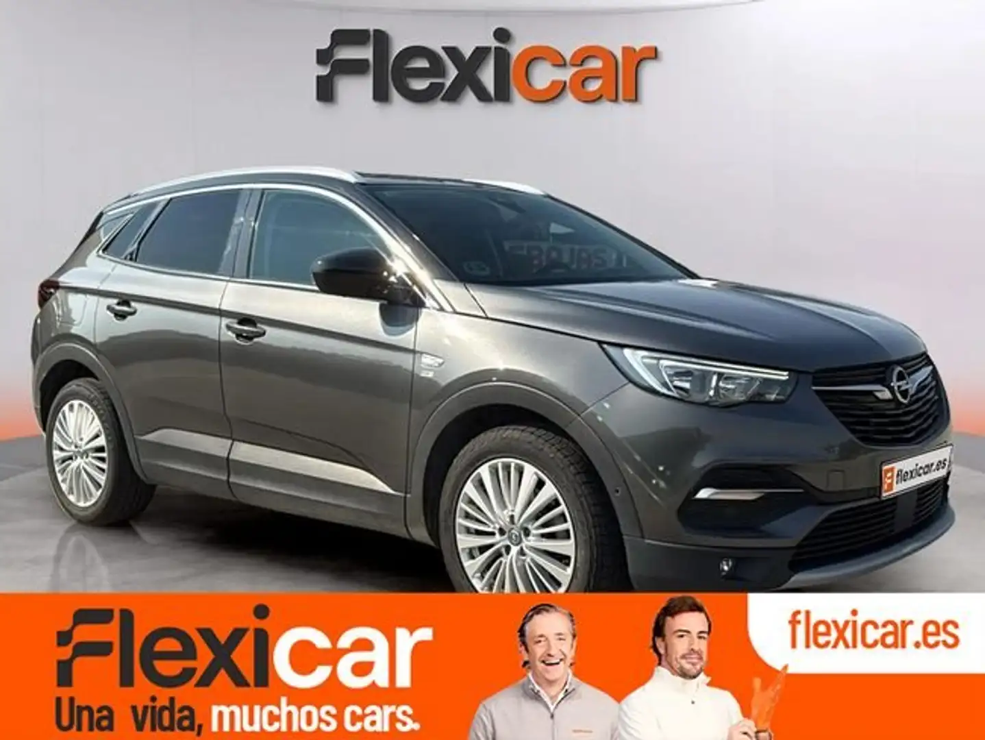 Opel Grandland X 1.5CDTi S&S Selective 130 Gris - 1