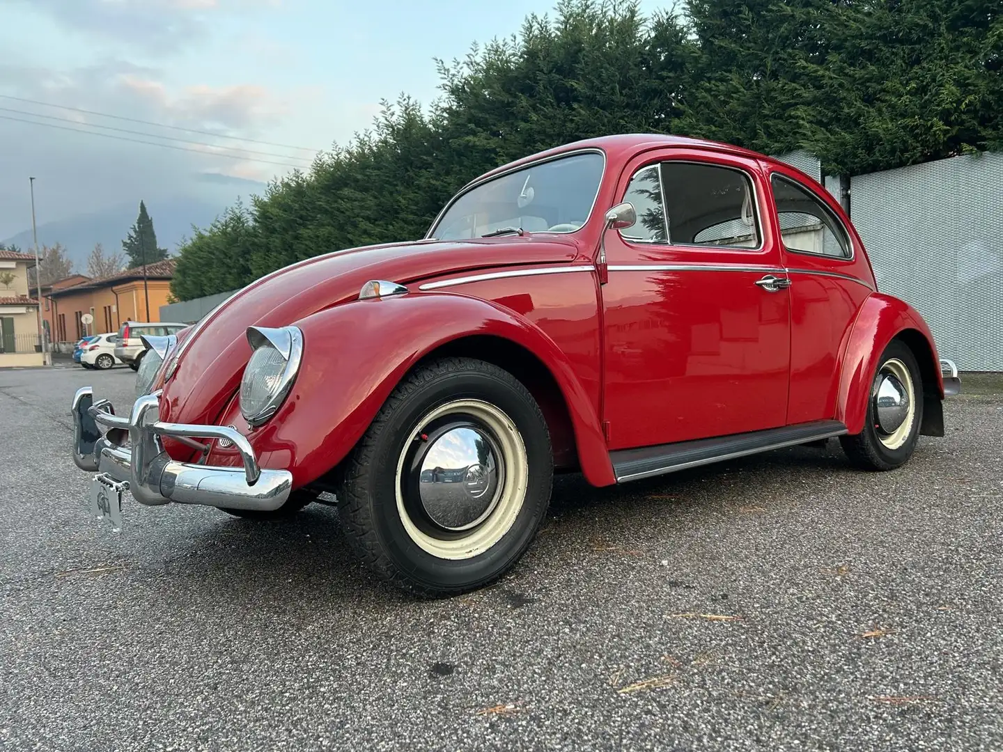 Volkswagen Maggiolino Beige - 1