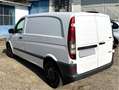 Mercedes-Benz Vito 113CDI 136cv EURO5 DIESEL Bianco - thumbnail 4