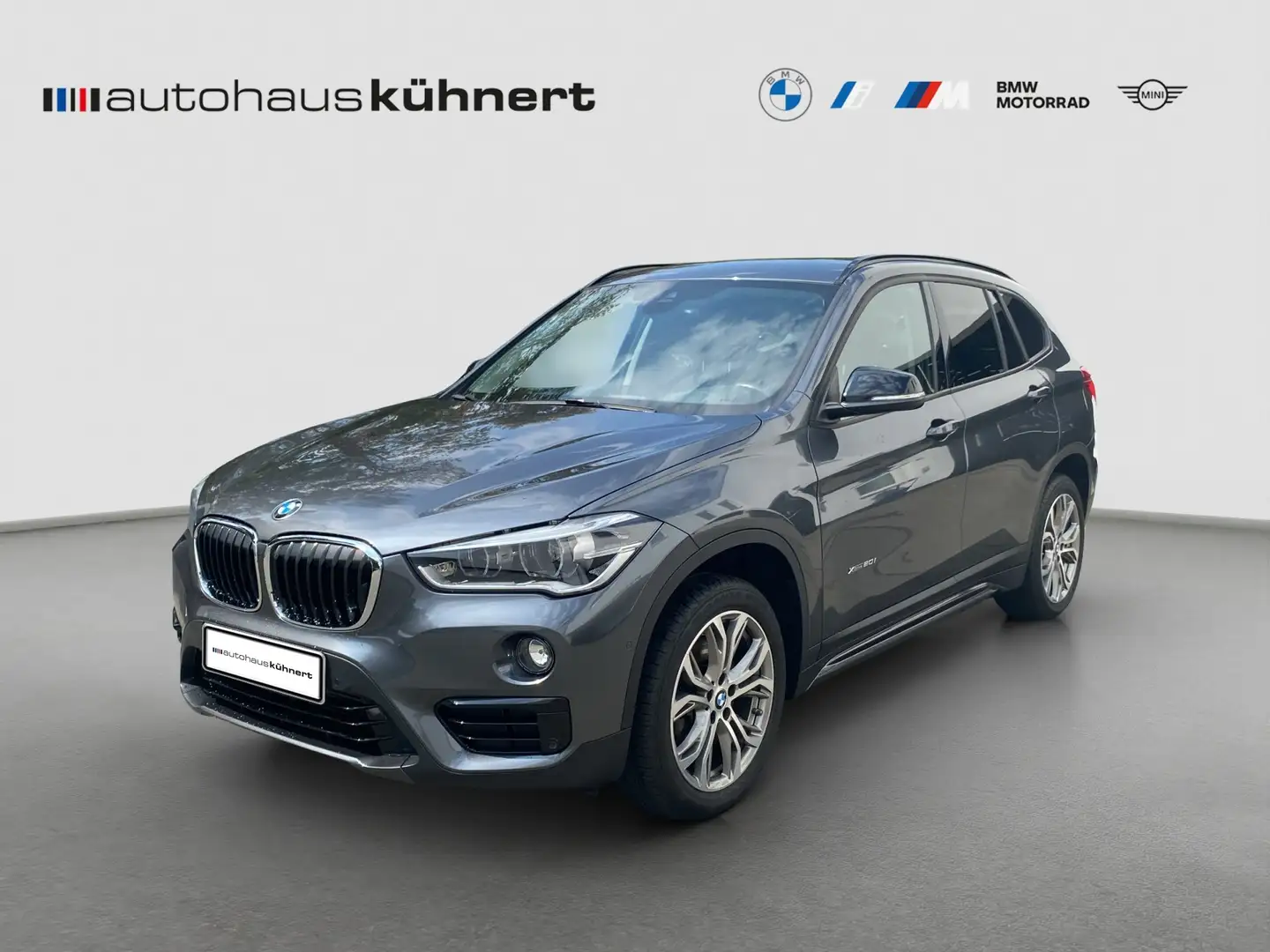 BMW X1 xDrive20i Sport Line LED SpurAss HiFi Navi SAG Grau - 1