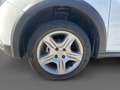 Dacia Sandero Stepway 1.5 Blue dCi 95 CV S&S Comfort Bianco - thumbnail 10