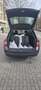 Skoda Octavia Style Grau - thumbnail 11
