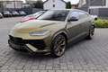 Lamborghini Urus Performante AdPersonam Matt 4Sit-Carbon-B&O Зелёный - thumbnail 6