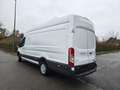 Ford Transit 2.0 TDCi L3H3 maxxii chassis EURO6B Blanc - thumbnail 2