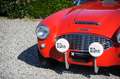 Austin Healey 3000 MKI 1960 Rojo - thumbnail 21