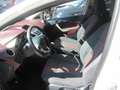 Ford Fiesta 1.4 TDCi 68 CV 5p. Titanium Bianco - thumbnail 8