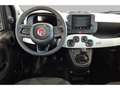 Fiat Panda PANDINA Bleu - thumbnail 11