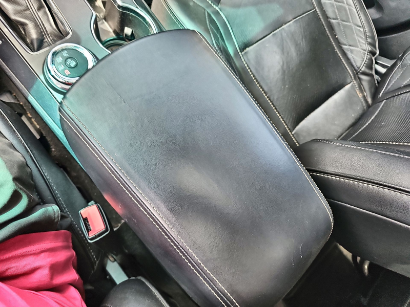 Image 19