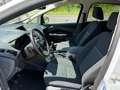 Ford C-Max Sync Edition Easy 1,0 EcoBoost Weiß - thumbnail 17