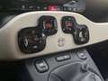 Fiat Panda 1.3 Multijet 16V - 75 S\u0026S - 4X4  III Orange - thumbnail 18