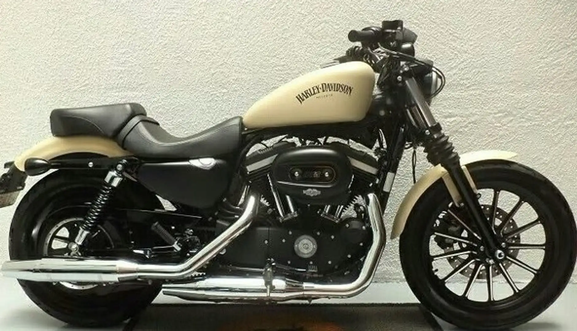 Harley-Davidson Iron 883 sand camo denim Beige - 2