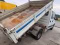 Iveco Daily 35C13/2.8/ RIBALTABILE/DOPPIA CABINA/2005 Bianco - thumbnail 4