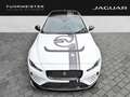 Jaguar XE Project 8 Track Pack 1 of 300 Deutsche Zulassung Bianco - thumbnail 10
