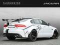 Jaguar XE Project 8 Track Pack 1 of 300 Deutsche Zulassung Bianco - thumbnail 2