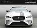 Jaguar XE Project 8 Track Pack 1 of 300 Deutsche Zulassung Bianco - thumbnail 16