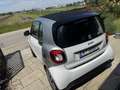 smart forTwo twinamic Weiß - thumbnail 3