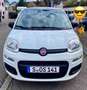 Fiat Panda 1.2 Sondermodell Young Blanc - thumbnail 1