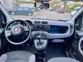 Fiat Panda 1.2 Sondermodell Young Blanc - thumbnail 6