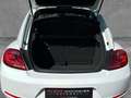 Volkswagen Beetle 2.0 TSI /PANO/PDC/NAVI/TEMPOMAT Wit - thumbnail 10