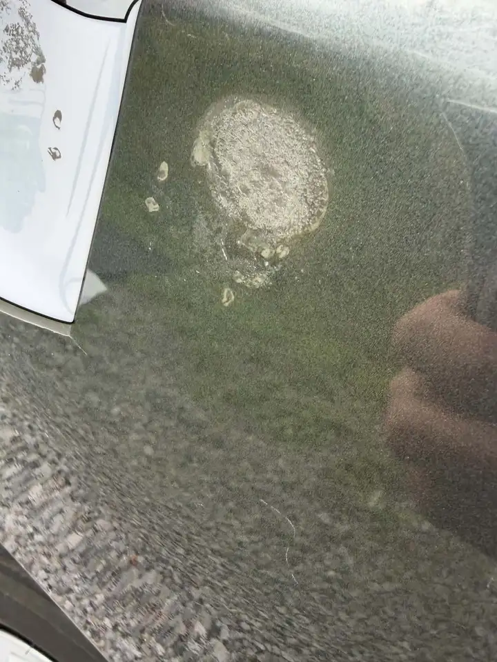 Renault Clio, foto 11