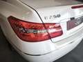 Mercedes-Benz E 250 Coupé 250CDI BE 7G Plus Blanco - thumbnail 31