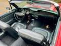 Ford Mustang V8 302 5,0l Cabrio Scheibenbr. Servol. Rot - thumbnail 13