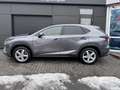 Lexus NX 300h ALLRAD Gris - thumbnail 3