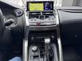 Lexus NX 300h ALLRAD Gris - thumbnail 15