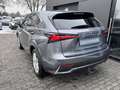 Lexus NX 300h ALLRAD Gris - thumbnail 4