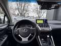 Lexus NX 300h ALLRAD Gris - thumbnail 9