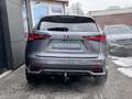 Lexus NX 300h ALLRAD Gris - thumbnail 17