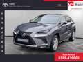 Lexus NX 300h ALLRAD Gris - thumbnail 1