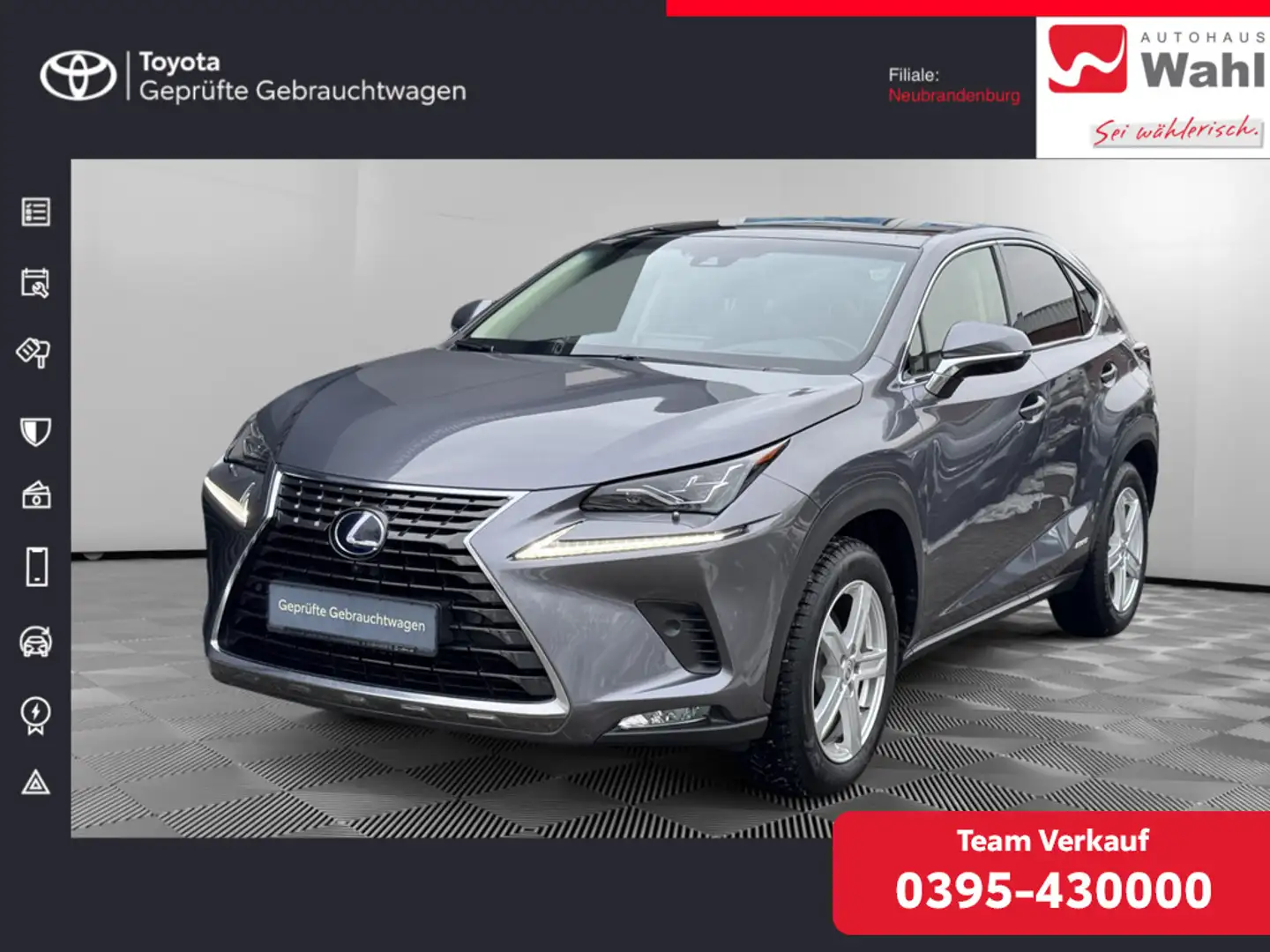 Lexus NX 300h ALLRAD Gris - 1