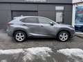 Lexus NX 300h ALLRAD Gris - thumbnail 18