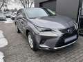 Lexus NX 300h ALLRAD Gris - thumbnail 19